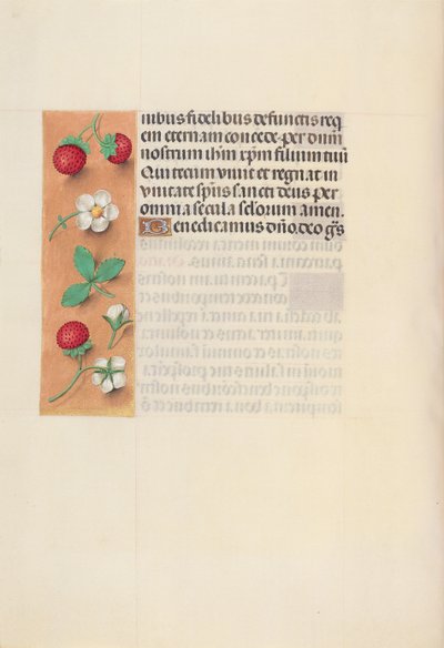 Hours of Dronning Isabella den Katolik, Dronning af Spanien: Fol. 125v, ca. 1500. af Master of the First Prayerbook of Maximillian