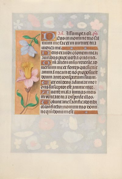 Hours of Dronning Isabella den Katolik, Dronning af Spanien: Fol. 127v, ca. 1500. af Master of the First Prayerbook of Maximillian