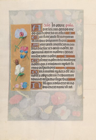 Hours of Dronning Isabella den Katolik, Dronning af Spanien: Fol. 137v, ca. 1500. af Master of the First Prayerbook of Maximillian