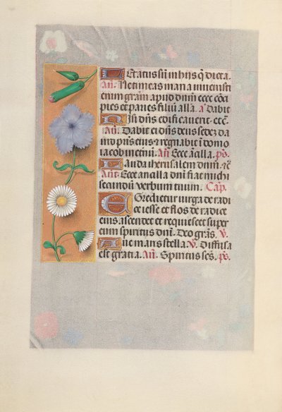 Hours of Dronning Isabella den Katolik, Dronning af Spanien: Fol. 160V, ca. 1500. af Master of the First Prayerbook of Maximillian