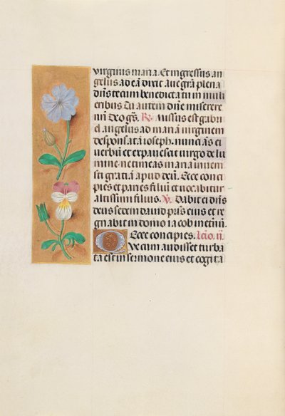 Hours of Dronning Isabella den Katolik, Dronning af Spanien: Fol. 162v, ca. 1500. af Master of the First Prayerbook of Maximillian