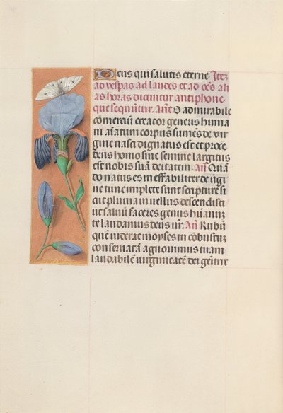 Hours of Dronning Isabella den Katolik, Dronning af Spanien: Fol. 165v, ca. 1500. af Master of the First Prayerbook of Maximillian