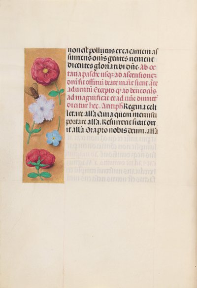 Hours of Dronning Isabella den Katolik, Dronning af Spanien: Fol. 166v, ca. 1500. af Master of the First Prayerbook of Maximillian