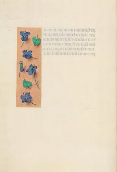 Hours of Dronning Isabella den Katolik, Dronning af Spanien: Fol. 16v, kort kant, ca. 1500. af Master of the First Prayerbook of Maximillian
