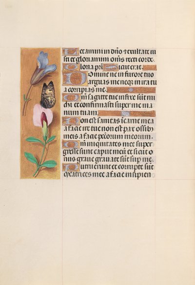 Hours of Dronning Isabella den Katolik, Dronning af Spanien: Fol. 202v, ca. 1500. af Master of the First Prayerbook of Maximillian