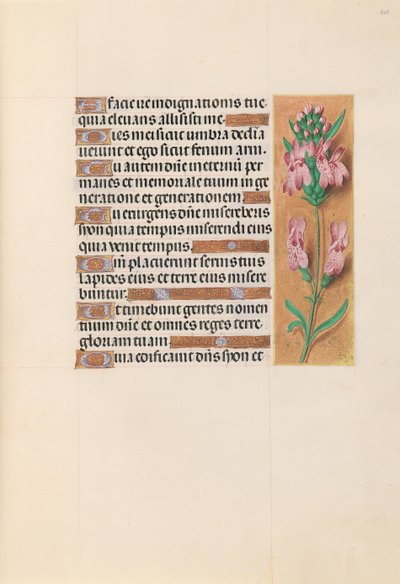 Hours of Dronning Isabella den Katolik, Dronning af Spanien: Fol. 207r, ca. 1500. af Master of the First Prayerbook of Maximillian