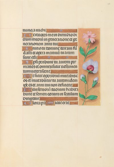 Hours of Dronning Isabella den Katolik, Dronning af Spanien: Fol. 208r, ca. 1500. af Master of the First Prayerbook of Maximillian