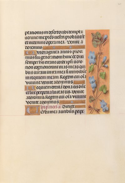 Dronning Isabella den katolske, dronning af Spaniens åbningstider: Fol. 227r, ca. 1500. af Master of the First Prayerbook of Maximillian