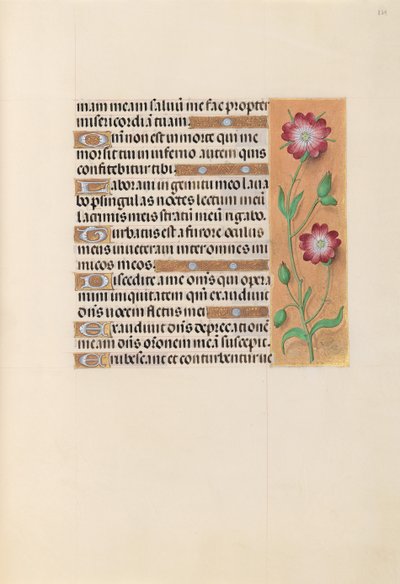 Hours of Dronning Isabella den Katolik, Dronning af Spanien: Fol. 229r, ca. 1500. af Master of the First Prayerbook of Maximillian