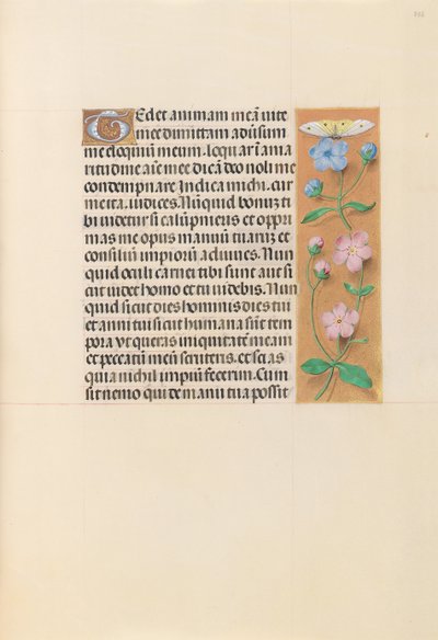 Hours of Dronning Isabella den Katolik, Dronning af Spanien: Fol. 232r, ca. 1500. af Master of the First Prayerbook of Maximillian