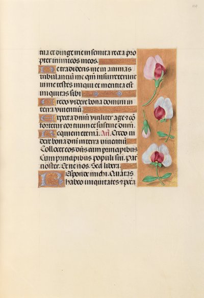 Hours of Dronning Isabella den Katolik, Dronning af Spanien: Fol. 237r, ca. 1500. af Master of the First Prayerbook of Maximillian