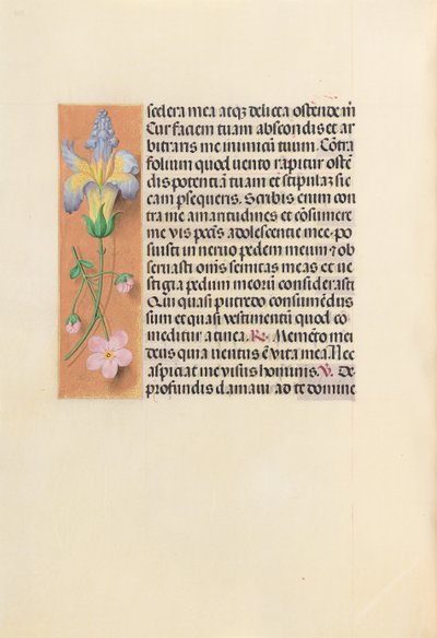 Hours of Dronning Isabella den Katolik, Dronning af Spanien: Fol. 237v, ca. 1500. af Master of the First Prayerbook of Maximillian