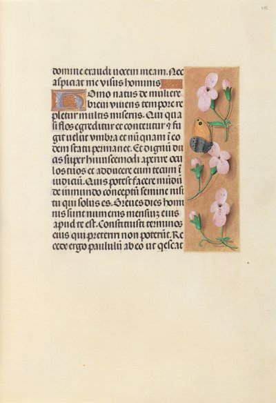 Hours of Dronning Isabella den Katolik, Dronning af Spanien: Fol. 238r, ca. 1500. af Master of the First Prayerbook of Maximillian