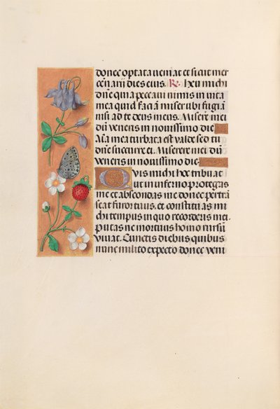 Dronning Isabella den katolske, dronning af Spaniens åbningstider: Fol. 238v, ca. 1500. af Master of the First Prayerbook of Maximillian
