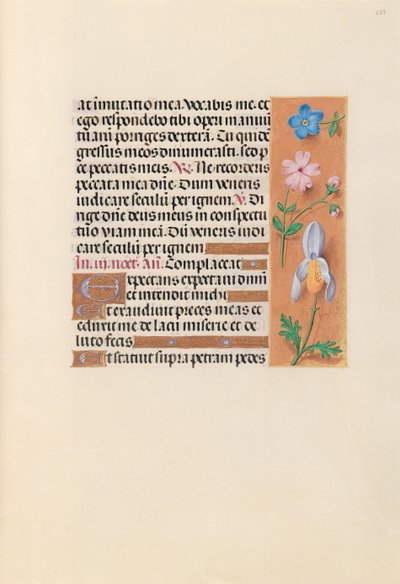 Hours of Dronning Isabella den Katolik, Dronning af Spanien: Fol. 239r, ca. 1500. af Master of the First Prayerbook of Maximillian