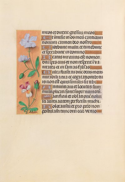 Hours of Dronning Isabella den Katolik, Dronning af Spanien: Fol. 239v, ca. 1500. af Master of the First Prayerbook of Maximillian