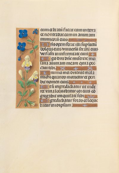 Hours of Dronning Isabella den Katolik, Dronning af Spanien: Fol. 241v, ca. 1500. af Master of the First Prayerbook of Maximillian