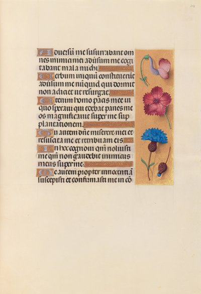 Hours of Dronning Isabella den Katolik, Dronning af Spanien: Fol. 242r, ca. 1500. af Master of the First Prayerbook of Maximillian