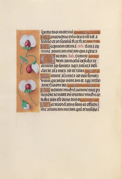Dronning Isabella den katolske, dronning af Spaniens åbningstider: Fol. 242v, ca. 1500. af Master of the First Prayerbook of Maximillian