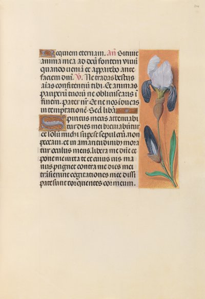 Hours of Dronning Isabella den Katolik, Dronning af Spanien: Fol. 244r, ca. 1500. af Master of the First Prayerbook of Maximillian