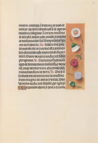 Dronning Isabella den katolske, dronning af Spaniens åbningstider: Fol. 245r, ca. 1500. af Master of the First Prayerbook of Maximillian