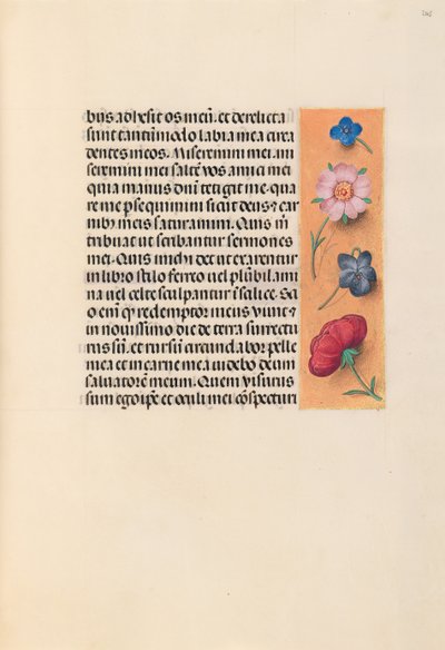 Hours of Dronning Isabella den Katolik, Dronning af Spanien: Fol. 245r, ca. 1500. af Master of the First Prayerbook of Maximillian