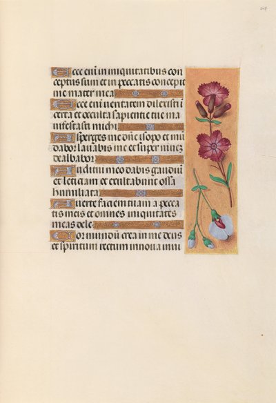 Hours of Dronning Isabella den Katolik, Dronning af Spanien: Fol. 247r, ca. 1500. af Master of the First Prayerbook of Maximillian