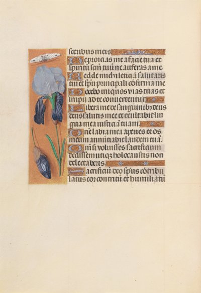 Hours of Dronning Isabella den Katolik, Dronning af Spanien: Fol. 247v, ca. 1500. af Master of the First Prayerbook of Maximillian