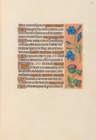 Hours of Dronning Isabella den Katolik, Dronning af Spanien: Fol. 248r, ca. 1500. af Master of the First Prayerbook of Maximillian