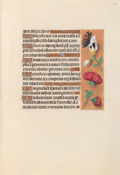Dronning Isabella den Katolskes timer, dronning af Spanien:  Fol. 249r af Master of the First Prayerbook of Maximillian