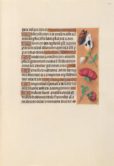 Hours of Dronning Isabella den Katolik, Dronning af Spanien: Fol. 249r, ca. 1500. af Master of the First Prayerbook of Maximillian