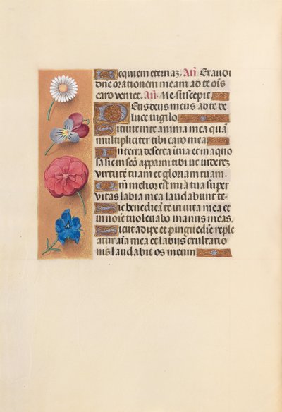 Hours of Dronning Isabella den Katolik, Dronning af Spanien: Fol. 249v, ca. 1500. af Master of the First Prayerbook of Maximillian