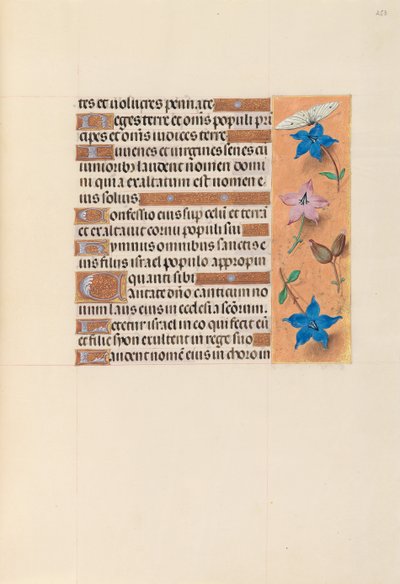 Hours of Dronning Isabella den Katolik, Dronning af Spanien: Fol. 253r, ca. 1500. af Master of the First Prayerbook of Maximillian