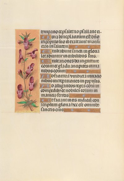 Hours of Dronning Isabella den Katolik, Dronning af Spanien: Fol. 253v, ca. 1500. af Master of the First Prayerbook of Maximillian