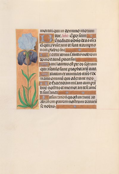 Hours of Dronning Isabella den Katolik, Dronning af Spanien: Fol. 254v, ca. 1500. af Master of the First Prayerbook of Maximillian