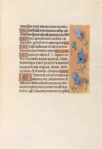 Hours of Dronning Isabella den Katolik, Dronning af Spanien: Fol. 256r, ca. 1500. af Master of the First Prayerbook of Maximillian