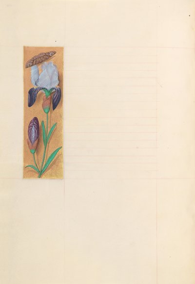 Hours of Dronning Isabella den Katolik, Dronning af Spanien: Fol. 277v, ca. 1500. af Master of the First Prayerbook of Maximillian