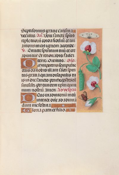 Hours of Dronning Isabella den Katolik, Dronning af Spanien: Fol. 35r, ca. 1500. af Master of the First Prayerbook of Maximillian