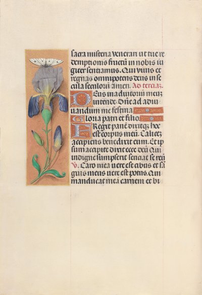 Hours of Dronning Isabella den Katolik, Dronning af Spanien: Fol. 45v, ca. 1500. af Master of the First Prayerbook of Maximillian