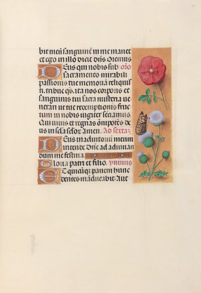 Dronning Isabella den Katolskes timer, dronning af Spanien:  Fol. 46r af Master of the First Prayerbook of Maximillian