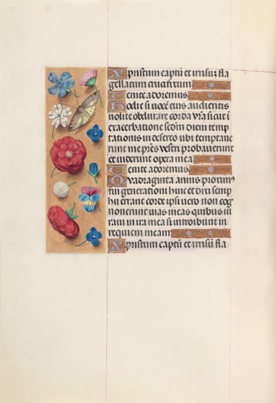 Dronning Isabella den katolske, dronning af Spaniens åbningstider: Fol. 51v, c. 1500. af Master of the First Prayerbook of Maximillian