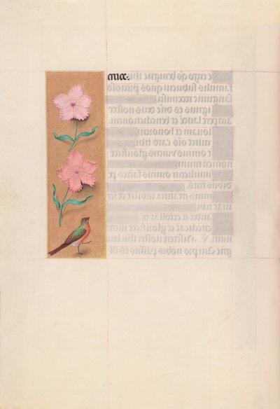 Dronning Isabella den Katolskes timer, dronning af Spanien:  Fol. 56v af Master of the First Prayerbook of Maximillian