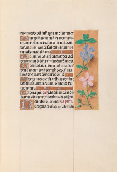 Dronning Isabella den katolske, dronning af Spaniens åbningstider: Fol. 62r, ca. 1500. af Master of the First Prayerbook of Maximillian