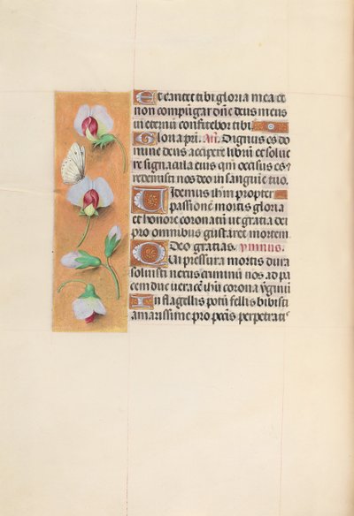 Hours of Dronning Isabella den Katolik, Dronning af Spanien: Fol. 74v, ca. 1500. af Master of the First Prayerbook of Maximillian