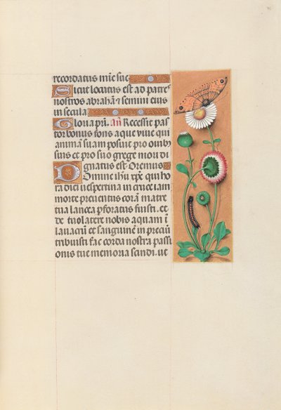 Hours of Dronning Isabella den Katolik, Dronning af Spanien: Fol. 76r, ca. 1500. af Master of the First Prayerbook of Maximillian