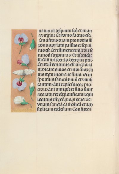 Hours of Dronning Isabella den Katolik, Dronning af Spanien: Fol. 91v, c. 1500. af Master of the First Prayerbook of Maximillian