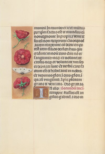 Dronning Isabella den Katolskes timer, dronning af Spanien:  Fol. 93v af Master of the First Prayerbook of Maximillian