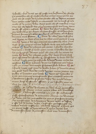 Historiseret indledende P: Regnskyl af tudser, løvfrøer og skadedyr af Master of the Geneva Boccaccio