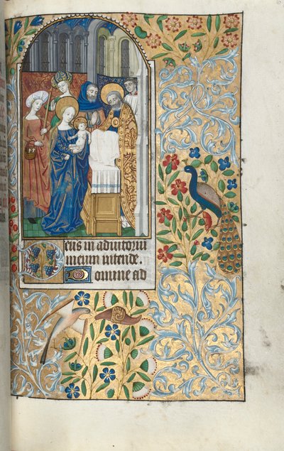 Timebog Brug af Rouen: fol. 67r, Præsentation af Kristusbarnet i templet, ca. 1470. af Master of the Geneva Latini