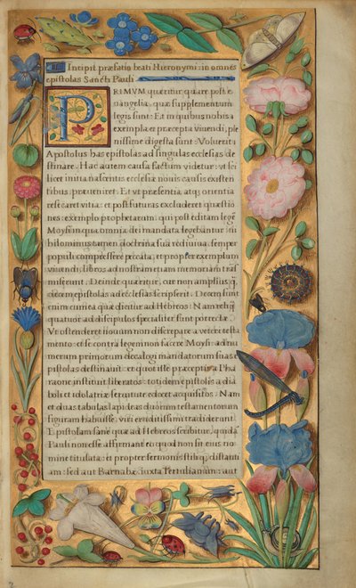 Dekoreret tekstside af Master of the Getty Epistles